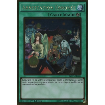 Arrestation Erronée PGL3-FR089