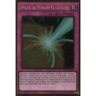 Force de Miroir Éclatante PGL3-FR100
