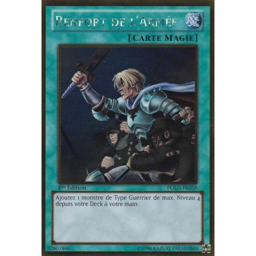 Renfort de l'Armée PGLD-FR058