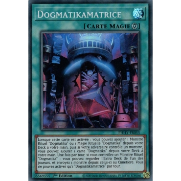 Dogmatikamatrice PHHY-FR055