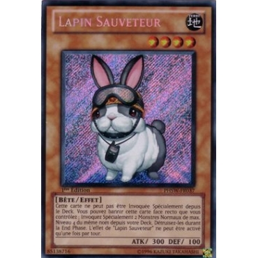 Lapin Sauveteur PHSW-FR037
