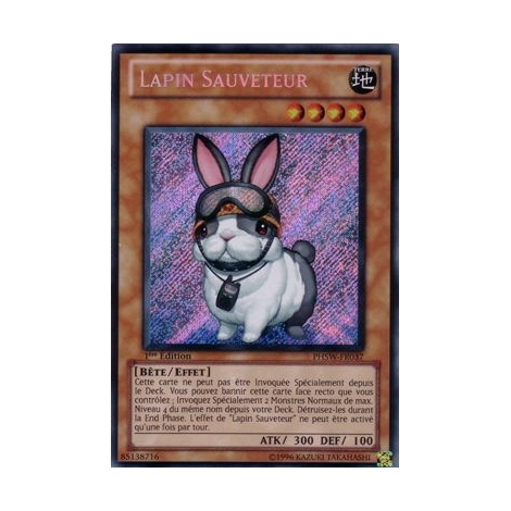 Lapin Sauveteur PHSW-FR037