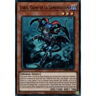 Loris Dame de la Lamentation POTE-FR092