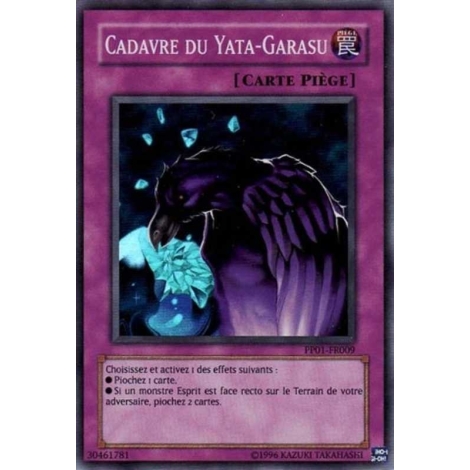 Cadavre du Yata-Garasu PP01-FR009