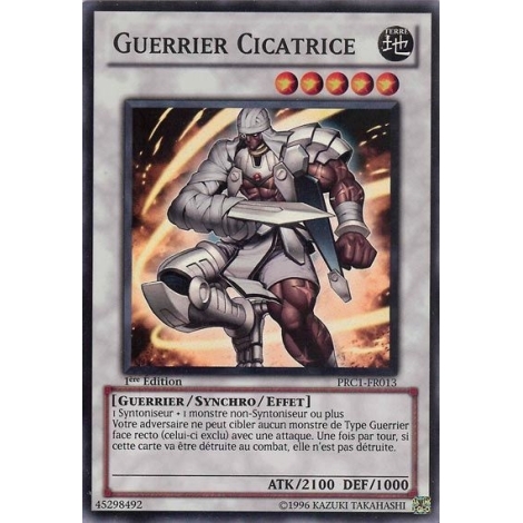 Guerrier Cicatrice PRC1-FR013