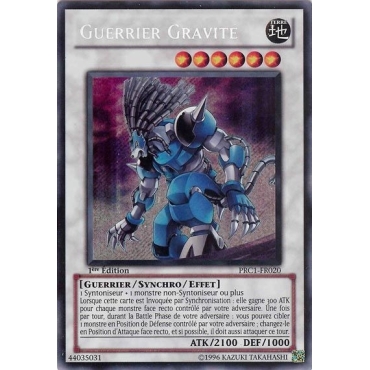 Guerrier Gravité PRC1-FR020