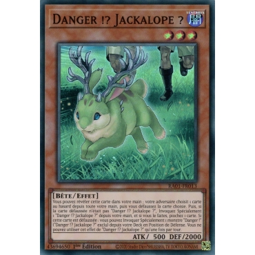 Danger !? Jackalope ? RA01-FR013