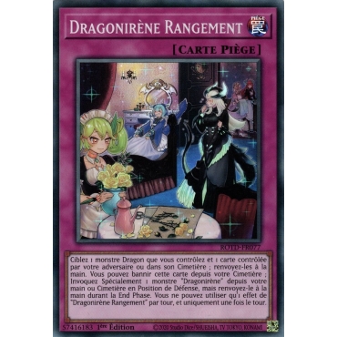 Dragonirène Rangement ROTD-FR077