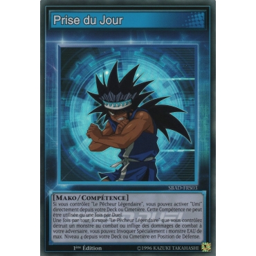 Prise du jour SBAD-FRS03