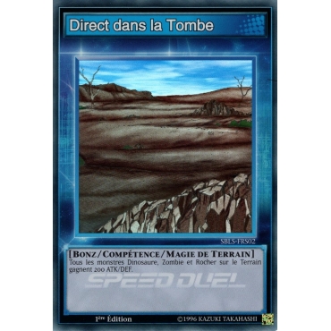 Direct dans la Tombe SBLS-FRS02