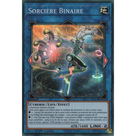 Sorcière Binaire SDCL-FR043