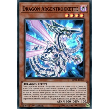 Dragon Argentrokkette SDRR-FR001