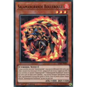 Salamangrande Rouleboule SDSB-FR004