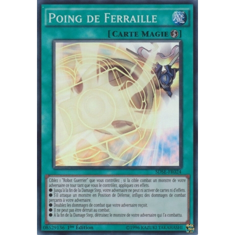 Poing de Ferraille SDSE-FR024