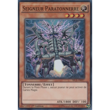 Seigneur Paratonnerre SECE-FR037