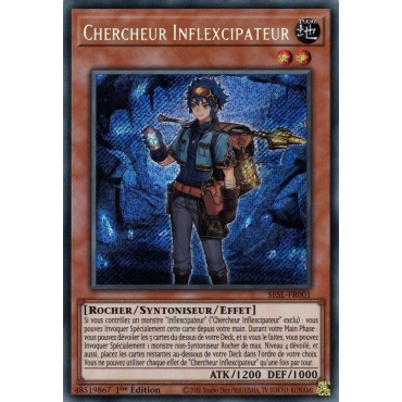 Chercheur Inflexcipateur SESL-FR001