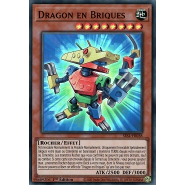 Dragon en Briques SESL-FR038