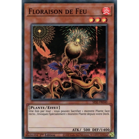 Floraison de Feu SESL-FR040