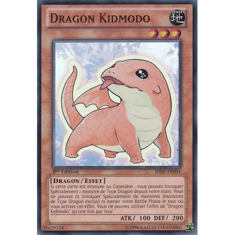 Dragon Kidmodo SHSP-FR094