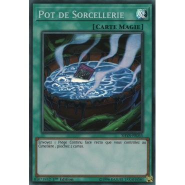 Pot de Sorcellerie SHVA-FR055