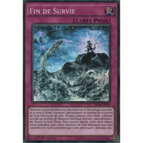 Fin de Survie SR04-FR030