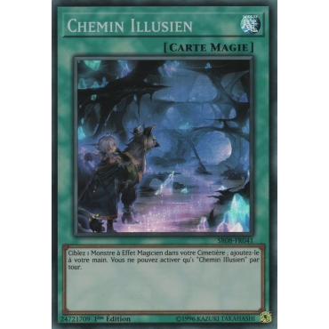 Chemin Illusien SR08-FR041