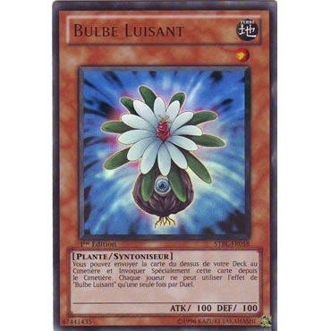 Bulbe Luisant STBL-FR018