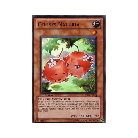 Cerises Naturia STBL-FR030