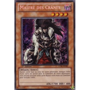 Maître des Crânes STBL-FR081