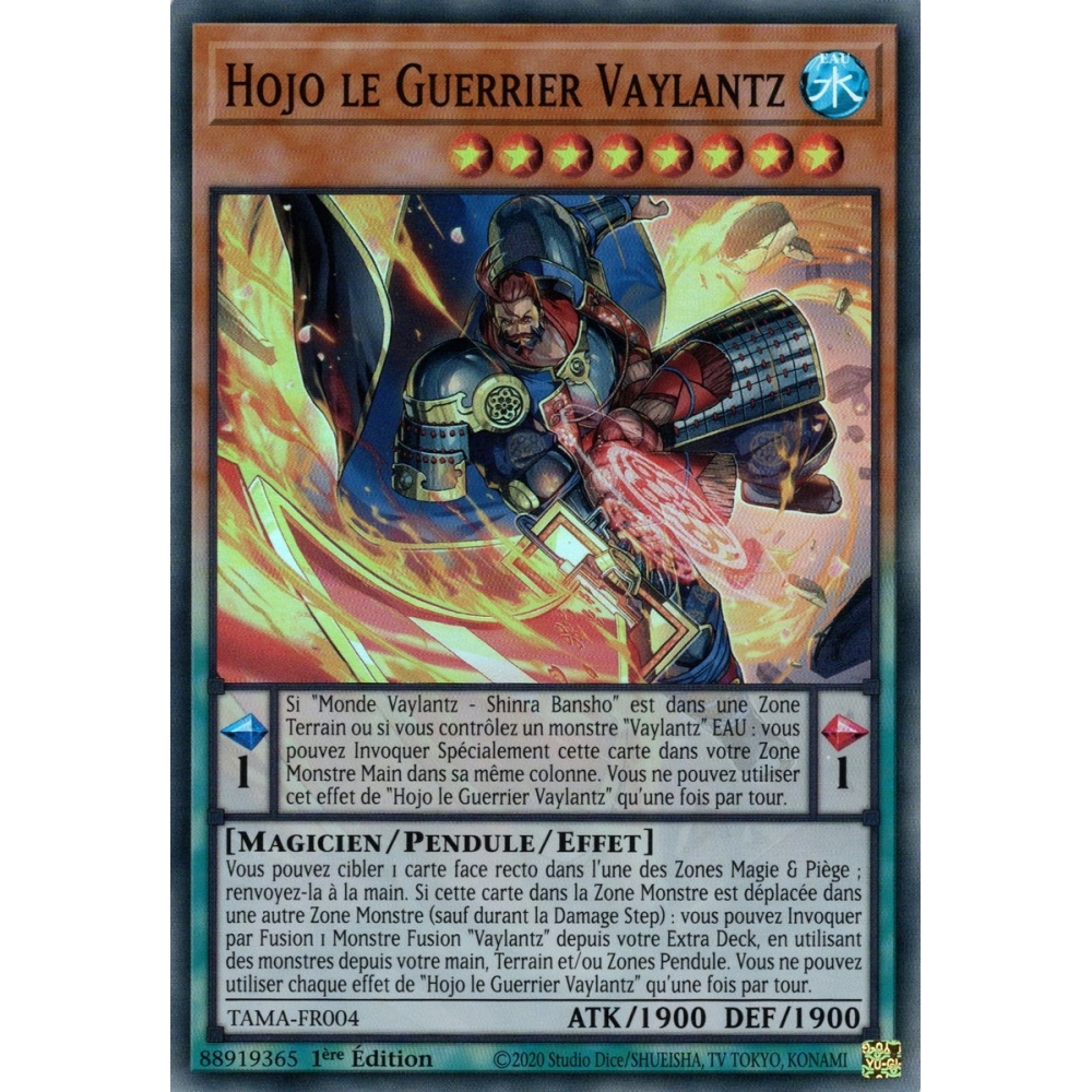 Hojo le Guerrier Vaylantz TAMA-FR004