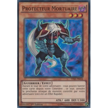 Protecteur Mortuaire THSF-FR034