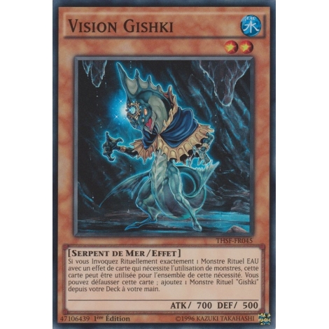 Vision Gishki THSF-FR045