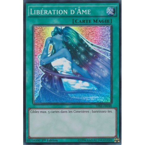 Libération d'Âme THSF-FR048