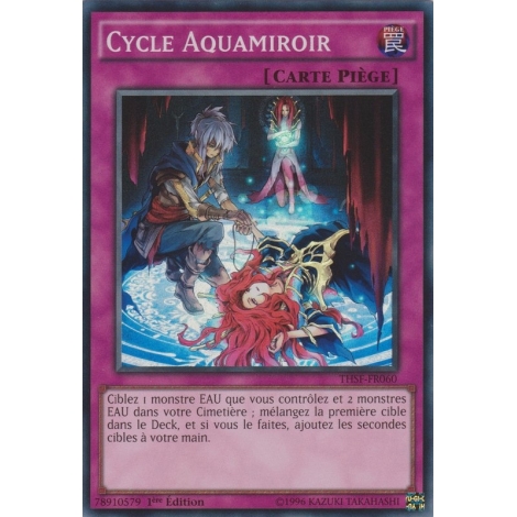 Cycle Aquamiroir THSF-FR060