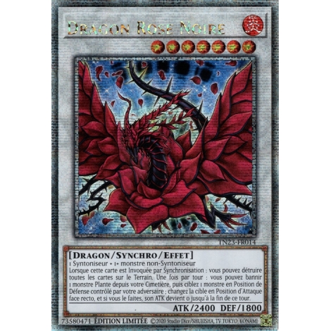 Dragon Rose Noire TN23-FR014