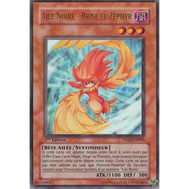 Brise le Zéphyr TSHD-FR003