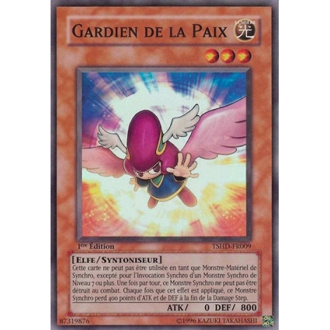 Gardien de la Paix TSHD-FR009