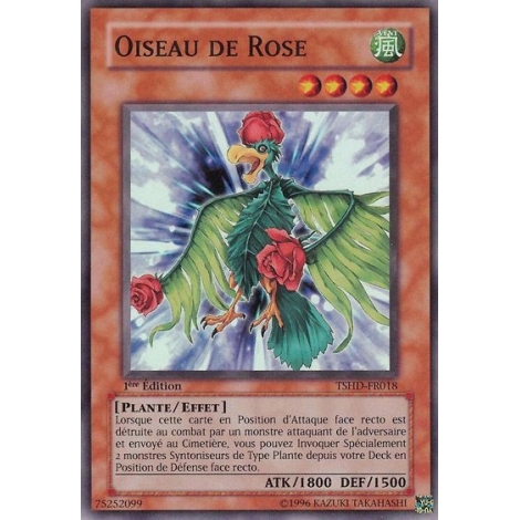 Oiseau de Rose TSHD-FR018