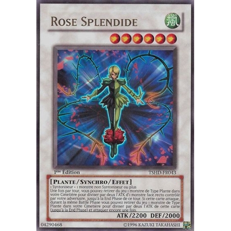 Rose Splendide TSHD-FR043