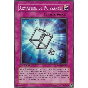 Armature de Puissance TSHD-FR063