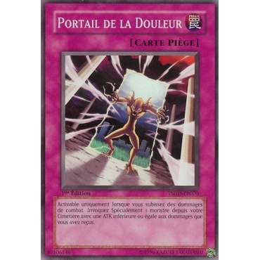 Portail de la Douleur TSHD-FR070