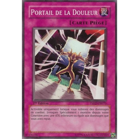 Portail de la Douleur TSHD-FR070