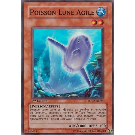 Poisson Lune Agile TSHD-FR084