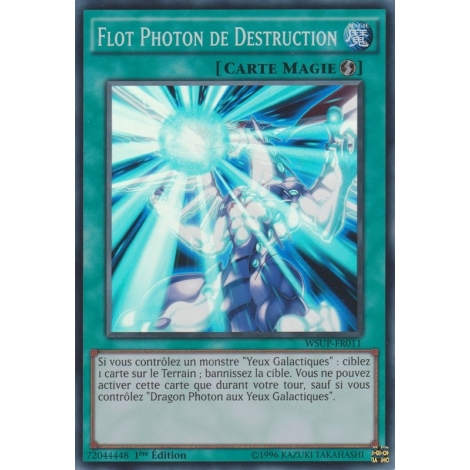 Flot Photon de Destruction WSUP-FR011