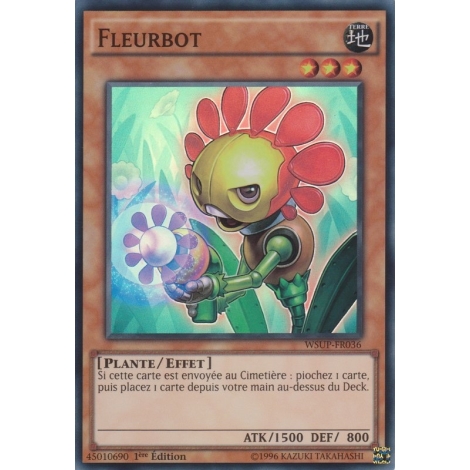 Fleurbot WSUP-FR036