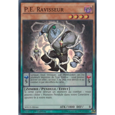 P.E. Ravisseur WSUP-FR044