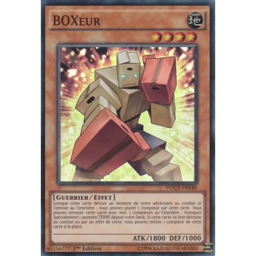 BOXeur WSUP-FR048