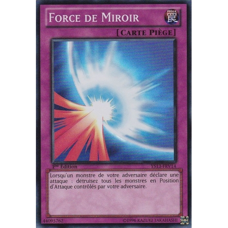 Force de Miroir YS13-FRV14