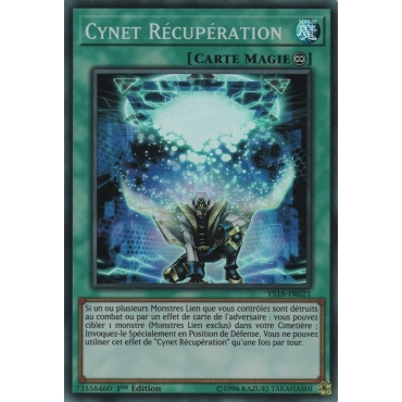 Cynet Récupération YS18-FR021