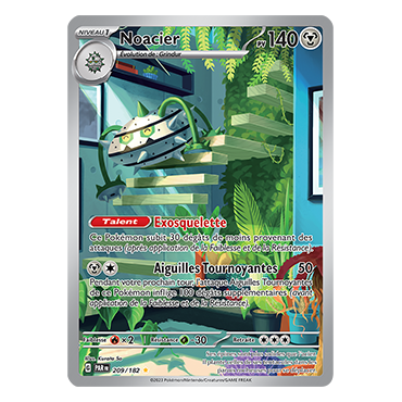 Noacier, carte Illustration rare de Faille Paradoxe